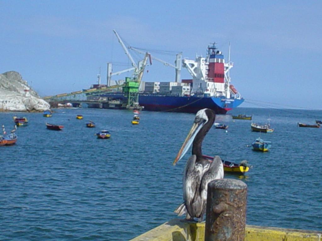 Foto de Chañaral, Chile