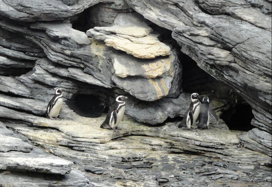 Foto de Lisboa, Portugal