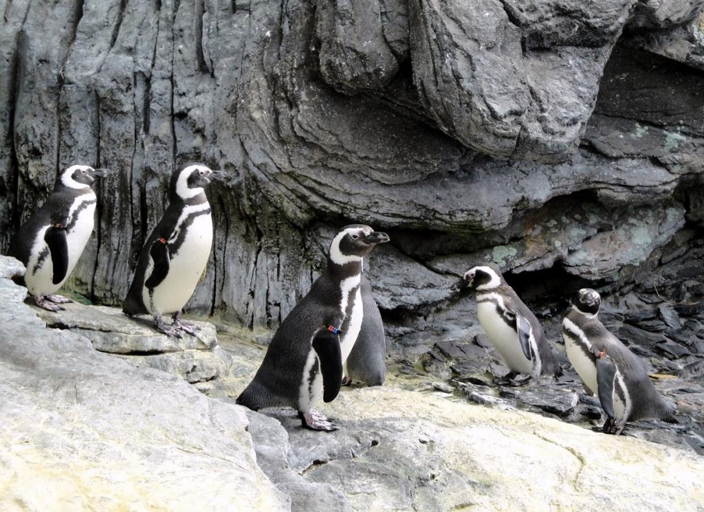 Foto de Lisboa, Portugal