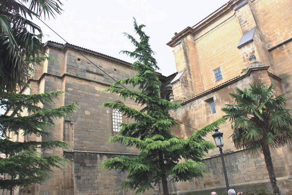 Foto de Laguardia (Biasteri) (Álava), España