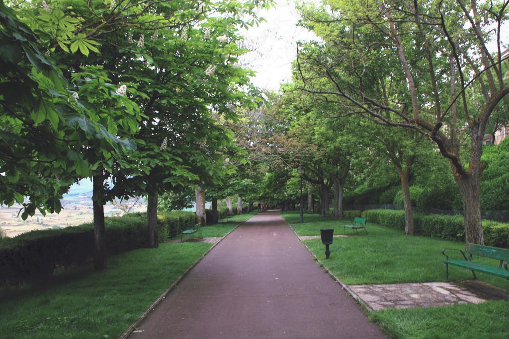 Foto de Laguardia (Biasteri) (Álava), España