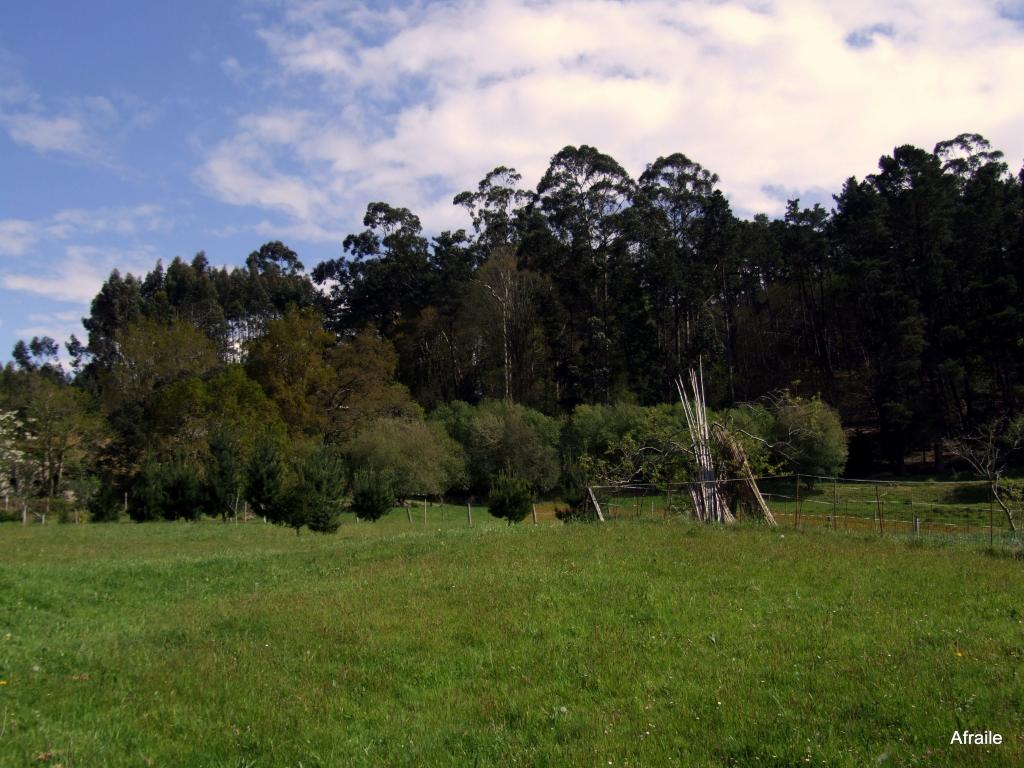Foto de Castañeda (Cantabria), España
