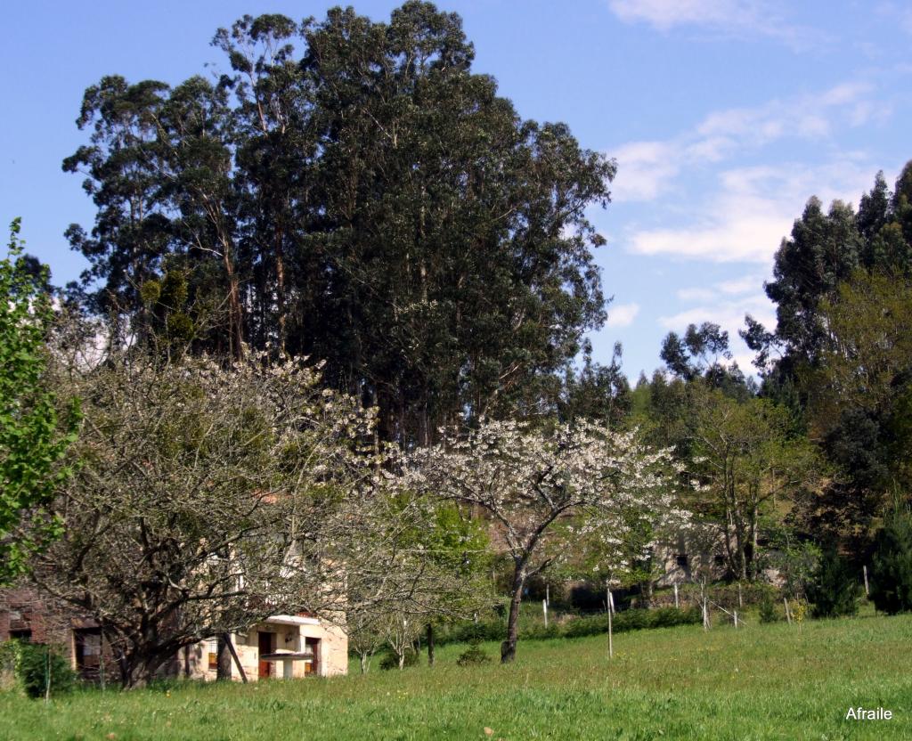 Foto de Castañeda (Cantabria), España