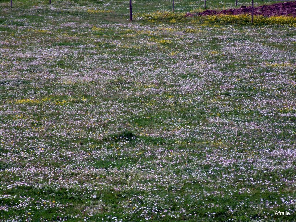 Foto de Castañeda (Cantabria), España