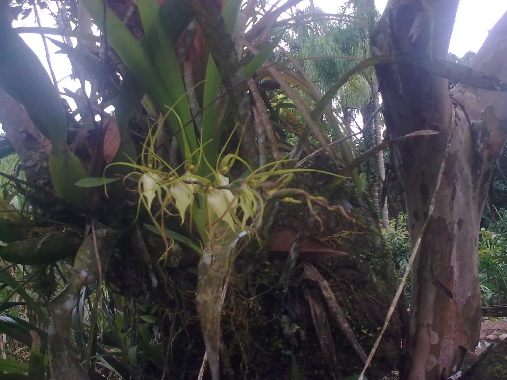 Foto de Shell-Pastaza, Ecuador