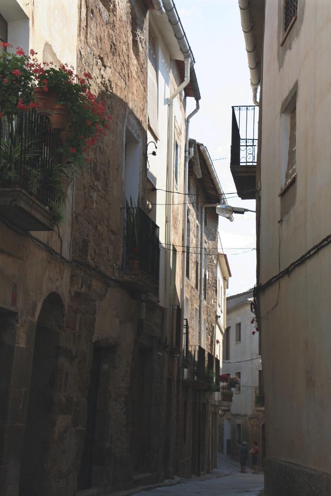 Foto de Sanaüja (Lleida), España
