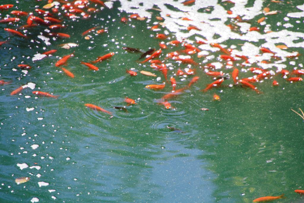 Foto de Torrelles de Llobregat (Barcelona), España