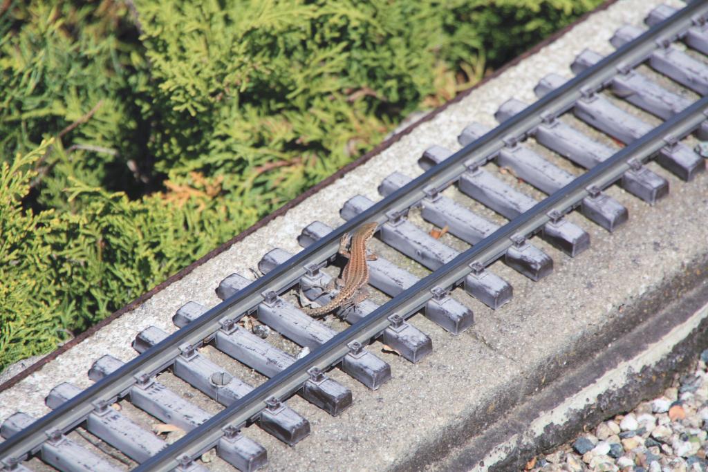 Foto de Torrelles de Llobregat (Barcelona), España