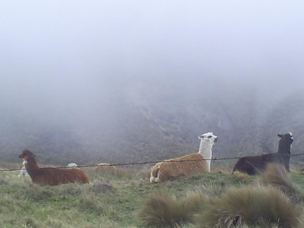 Foto de Chimborazo, Ecuador