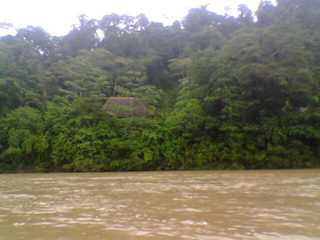 Foto de Tena (Aguano), Ecuador