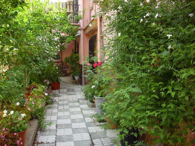 Foto de Cantillana (Sevilla), España