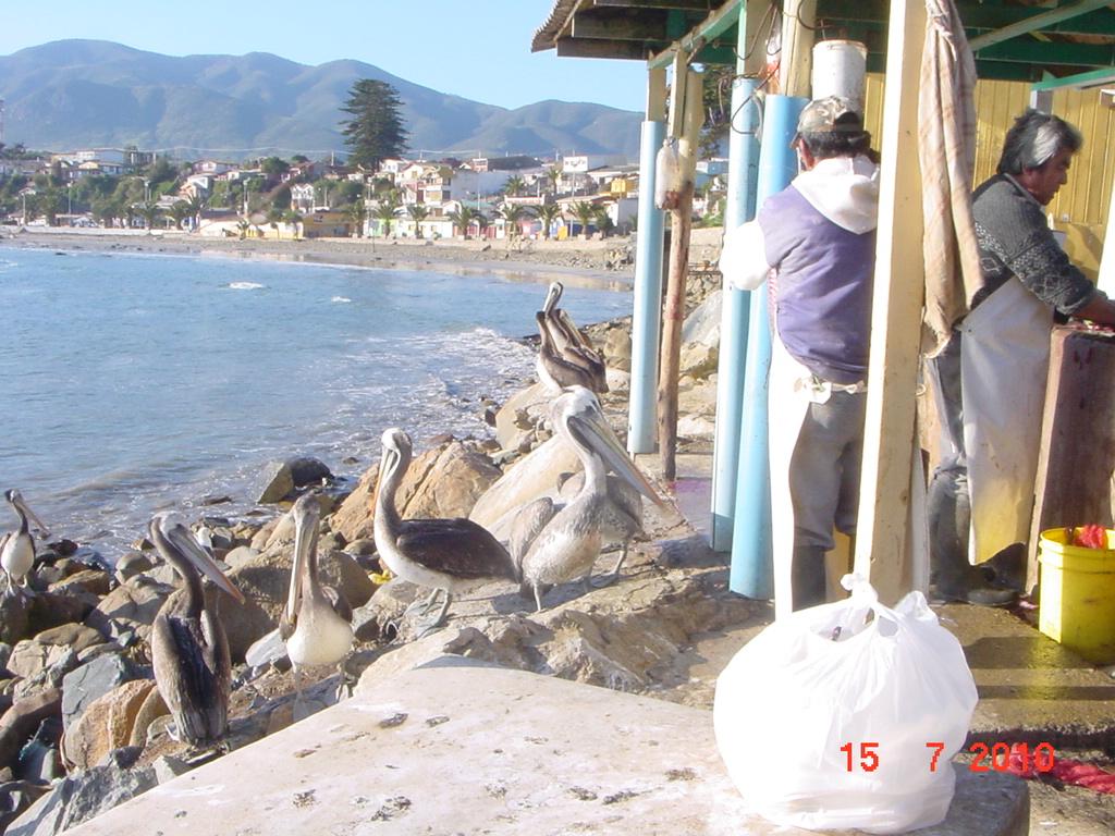 Foto de Los Vilos, Chile