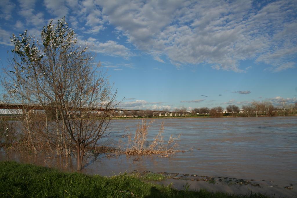Foto: San Juan de Aznalfarache - San Juan de Aznalfarache (Sevilla), España