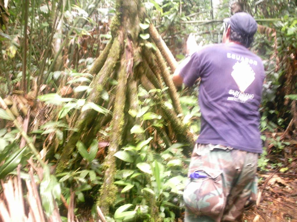 Foto de Cuyabeno, Ecuador