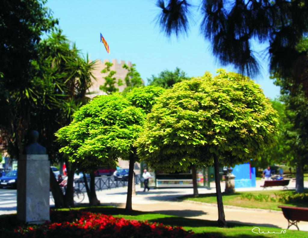 Foto de Valencia (València), España