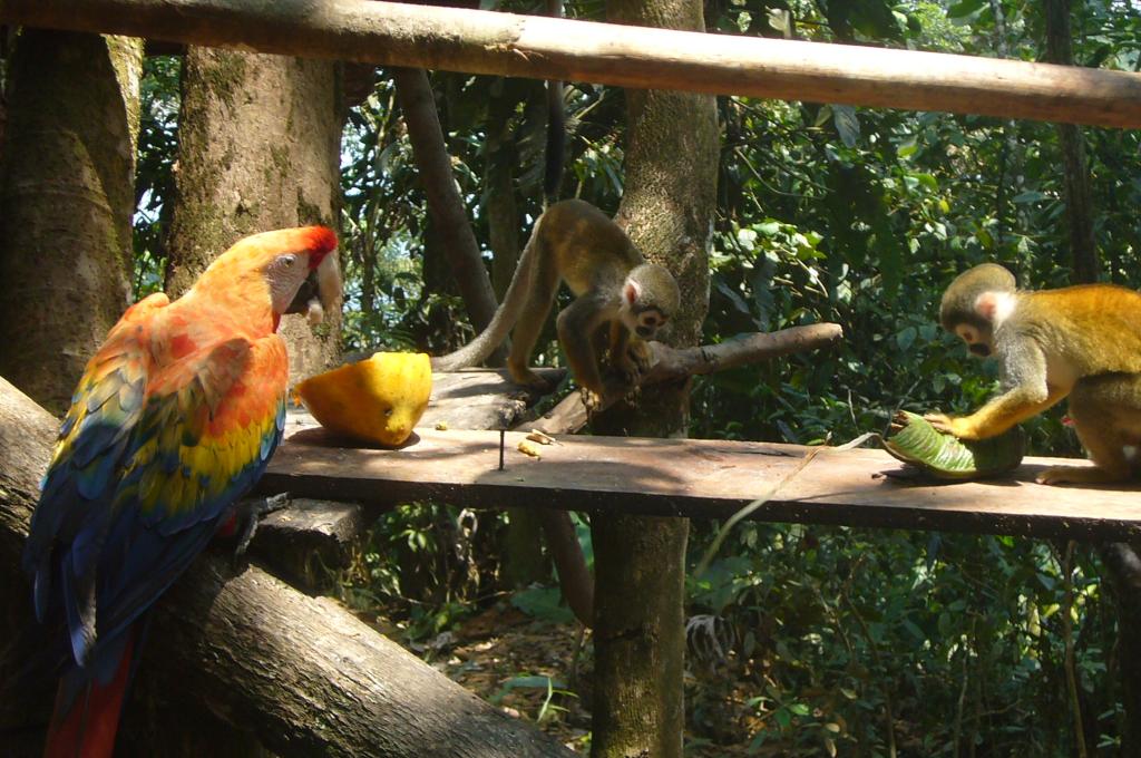 Foto de Shell-Pastaza, Ecuador