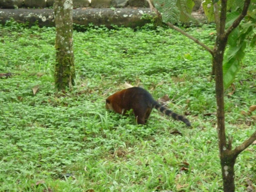 Foto de Shell-Pastaza, Ecuador