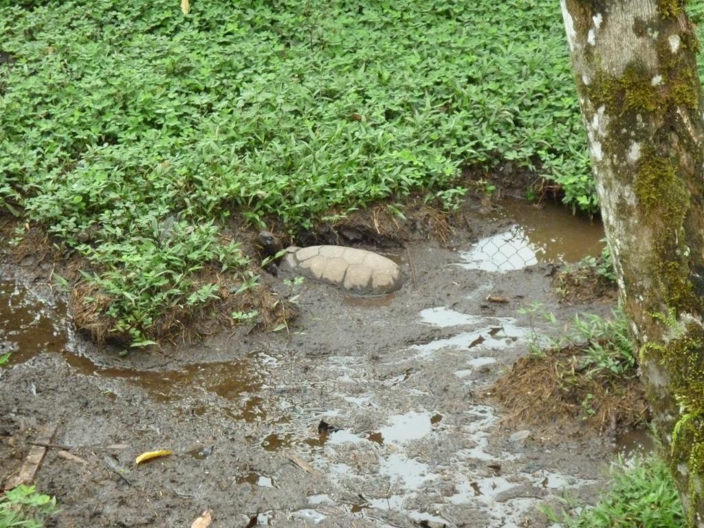 Foto de Shell-Pastaza, Ecuador