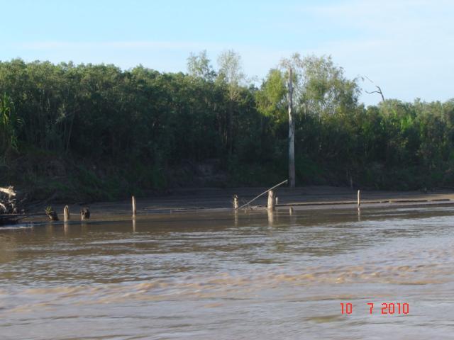Foto de Puerto Frekins, Bolivia