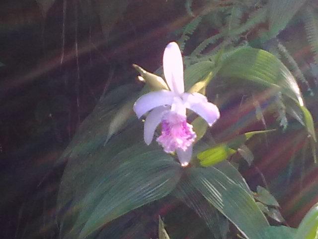 Foto de Shell-Pastaza, Ecuador