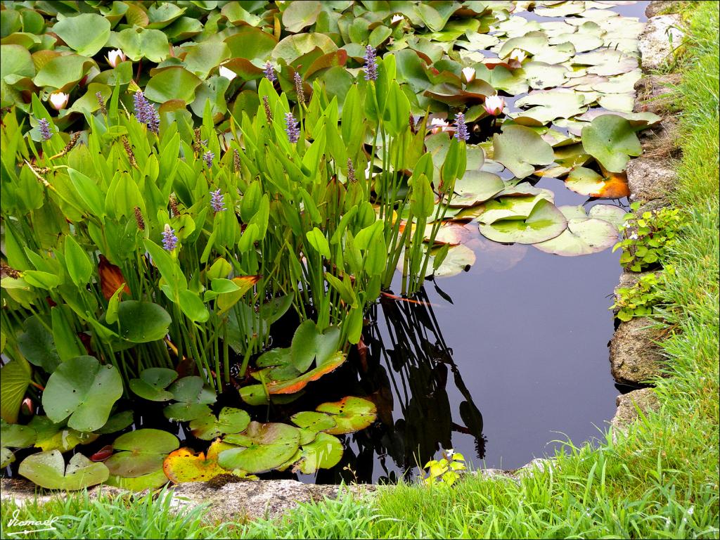 Foto de Arnoia (Ourense), España