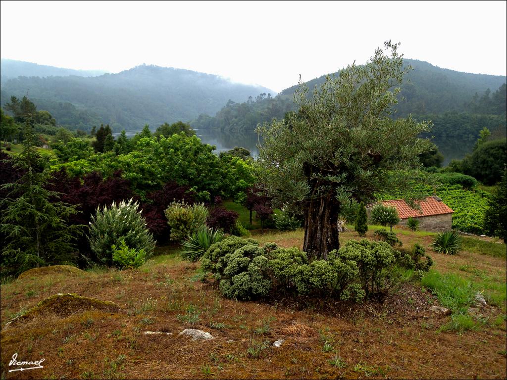 Foto de Arnoia (Ourense), España