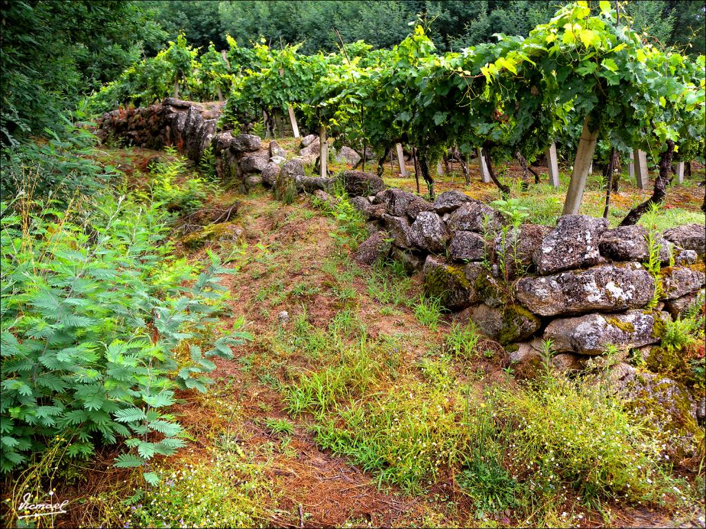 Foto de Arnoia (Ourense), España