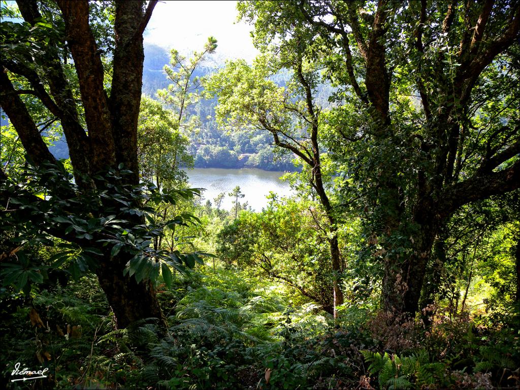 Foto de Arnoia (Ourense), España