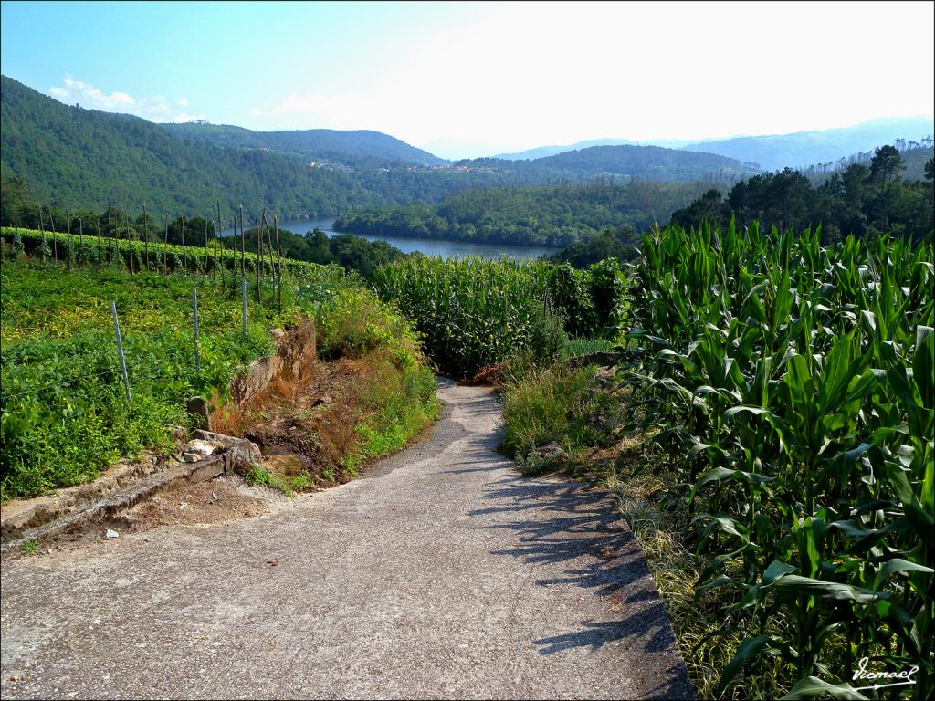 Foto de Arnoia (Ourense), España
