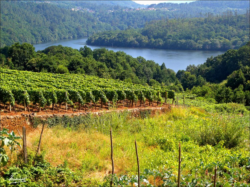 Foto de Arnoia (Ourense), España