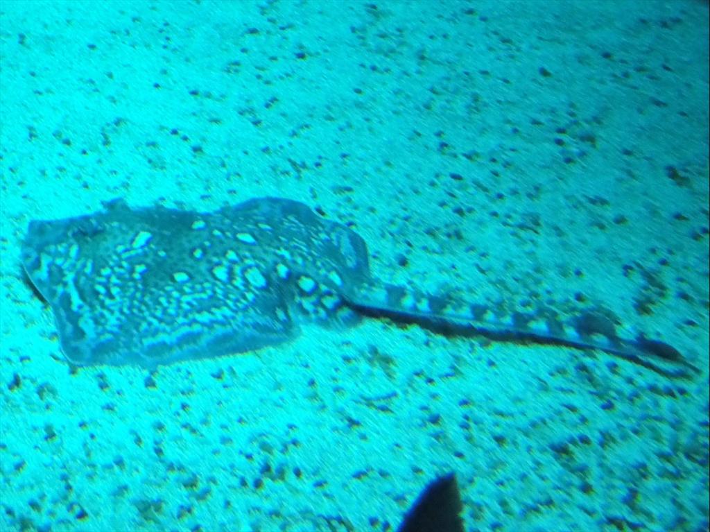 Foto de Lisboa, Portugal