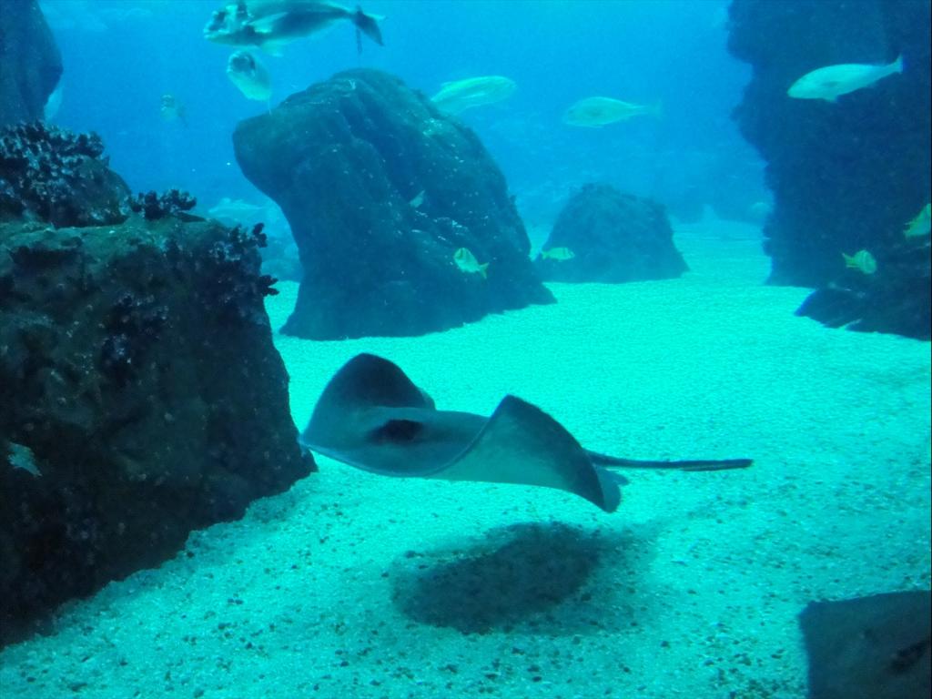 Foto de Lisboa, Portugal