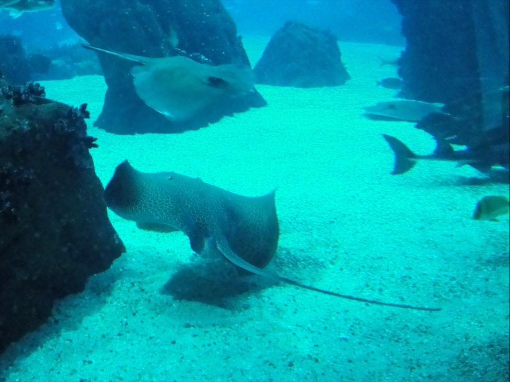 Foto de Lisboa, Portugal