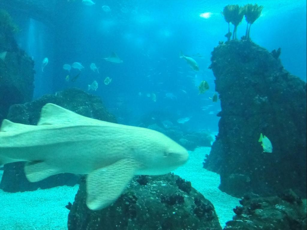 Foto de Lisboa, Portugal