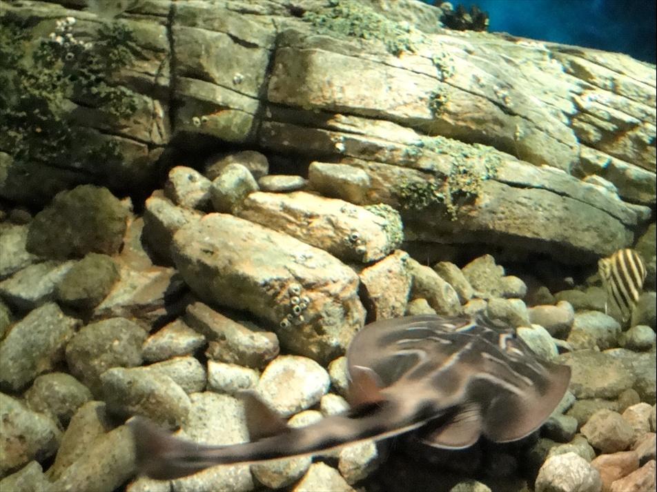 Foto de Lisboa, Portugal