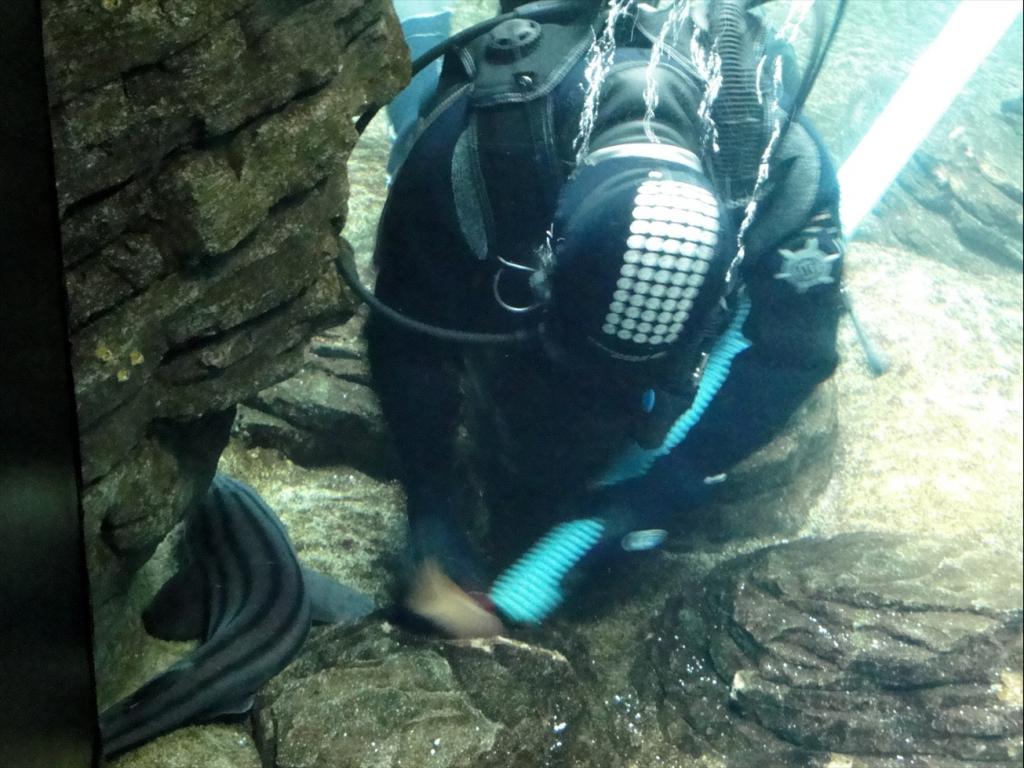 Foto de Lisboa, Portugal