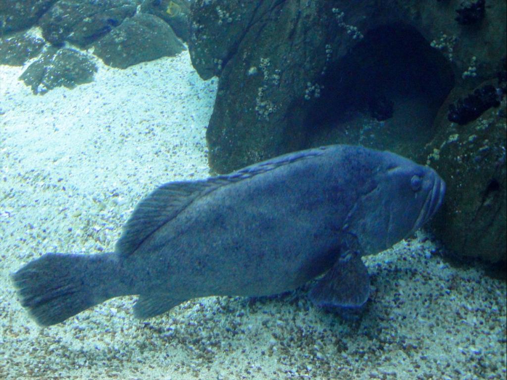 Foto de Lisboa, Portugal