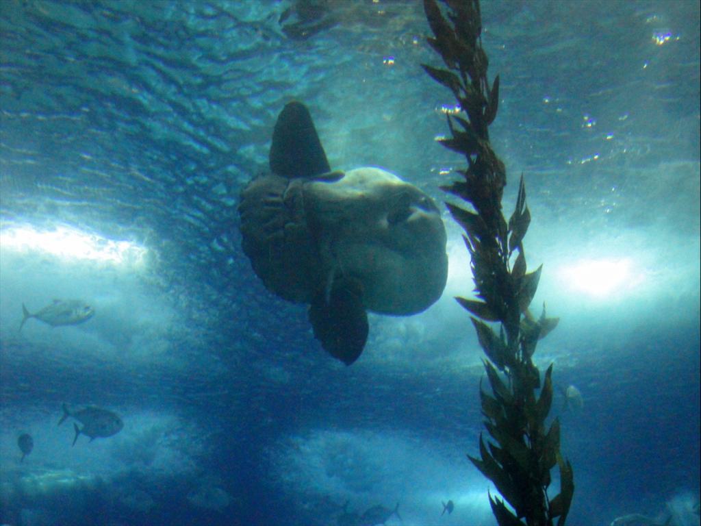 Foto de Lisboa, Portugal