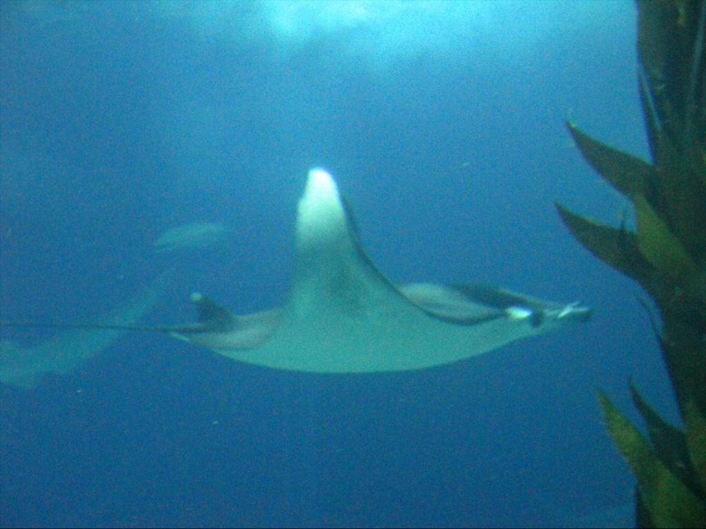 Foto de Lisboa, Portugal