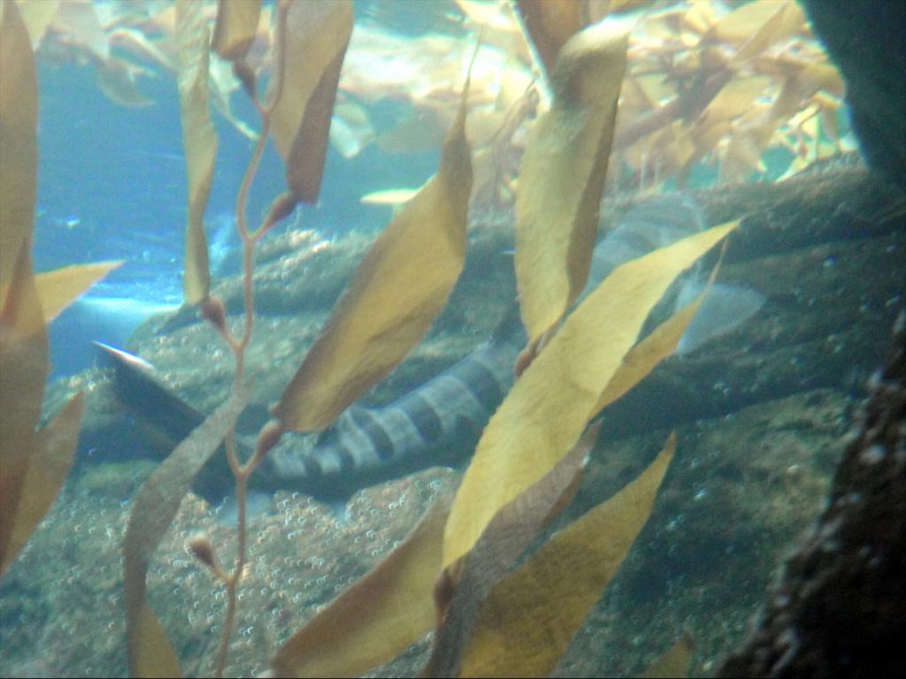 Foto de Lisboa, Portugal