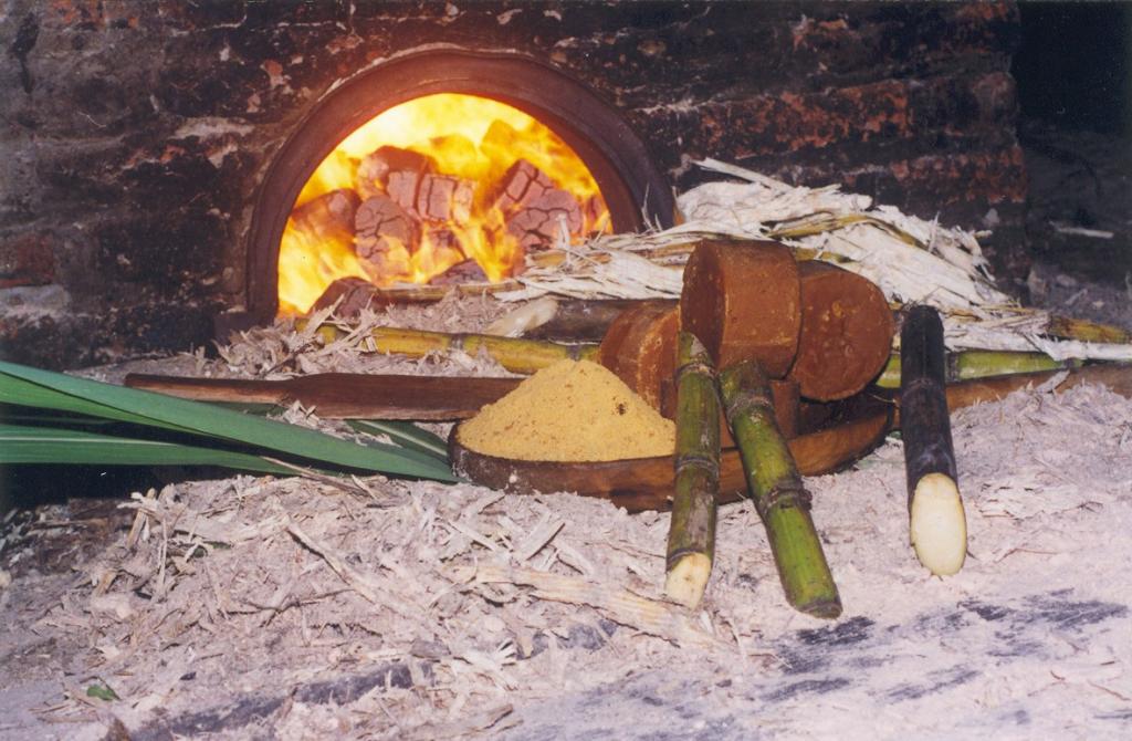 Foto de Puyo (Pastaza), Ecuador