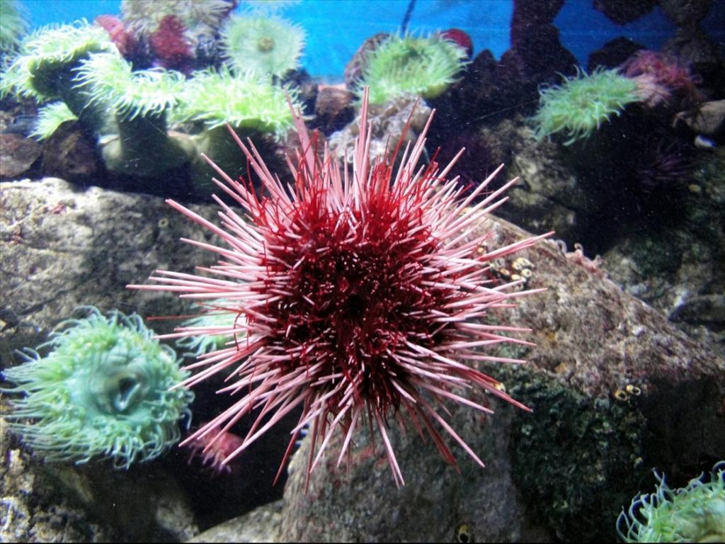 Foto de Lisboa, Portugal