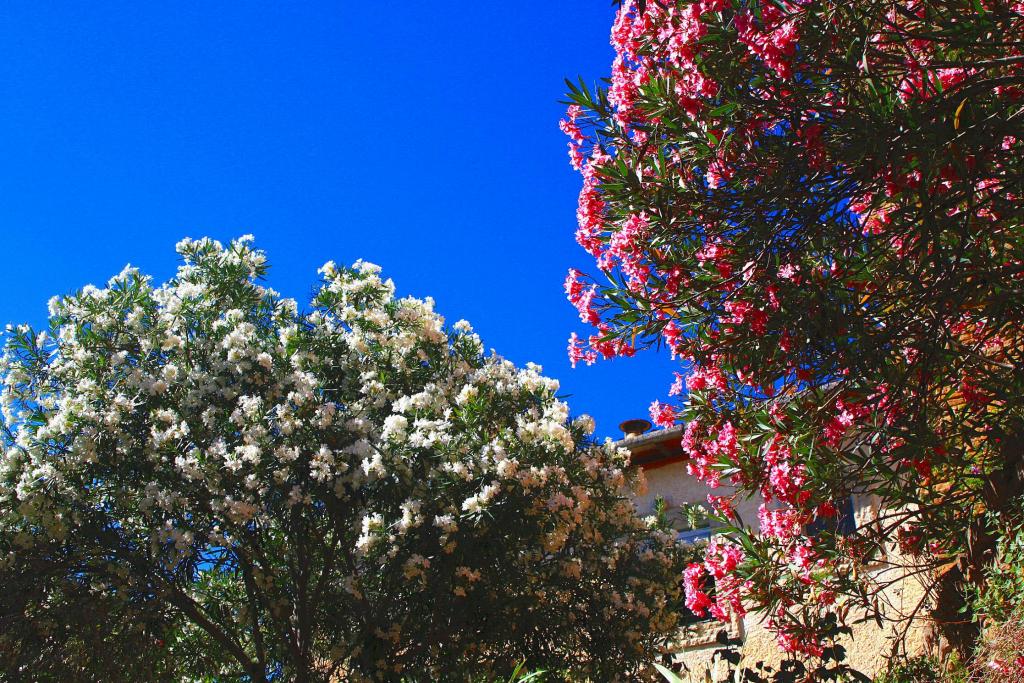 Foto de Àger (Lleida), España