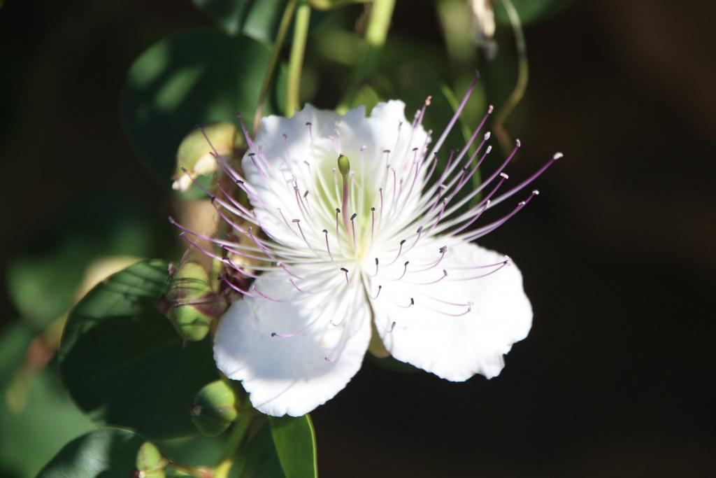 Foto de Àger (Lleida), España