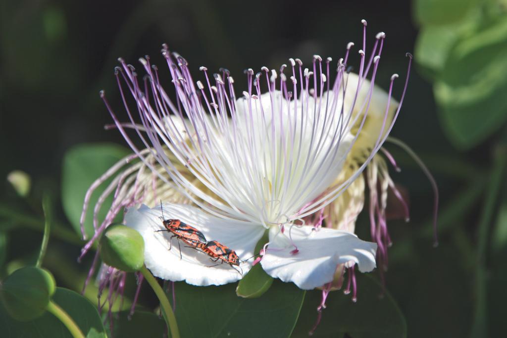Foto de Àger (Lleida), España
