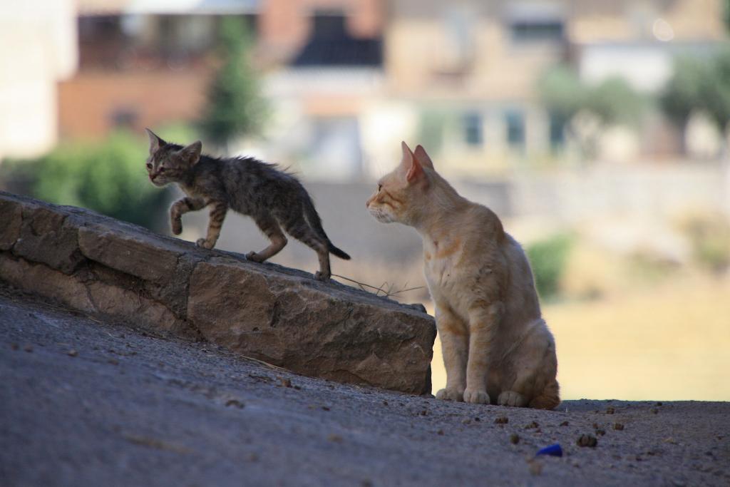 Foto de Àger (Lleida), España