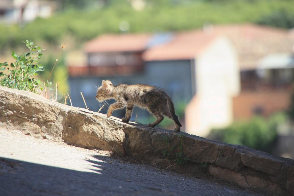 Foto de Àger (Lleida), España