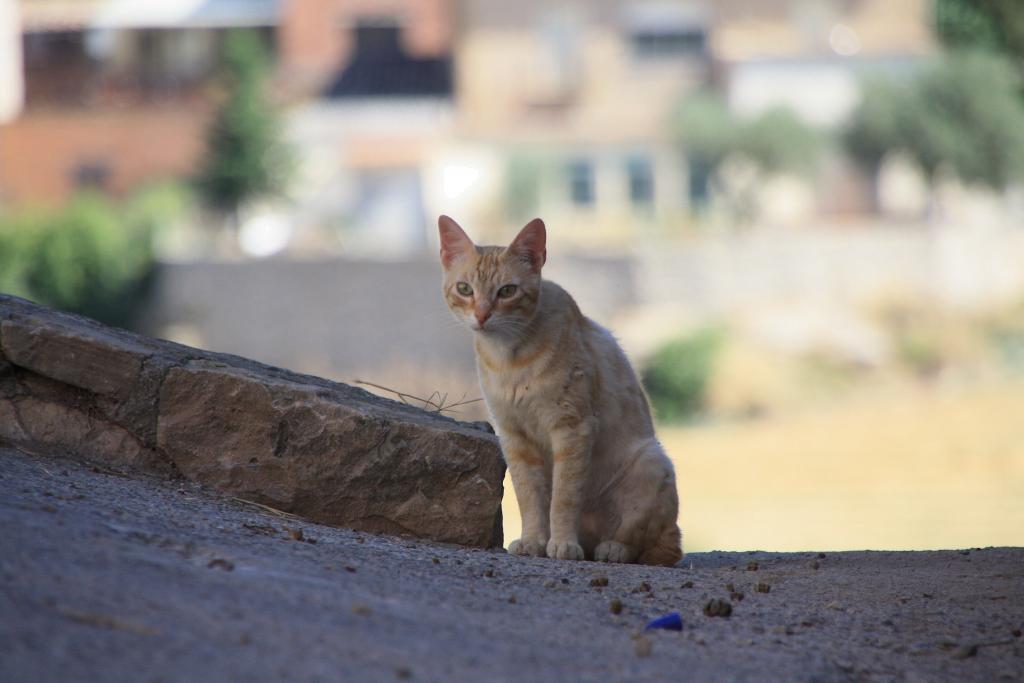 Foto de Àger (Lleida), España