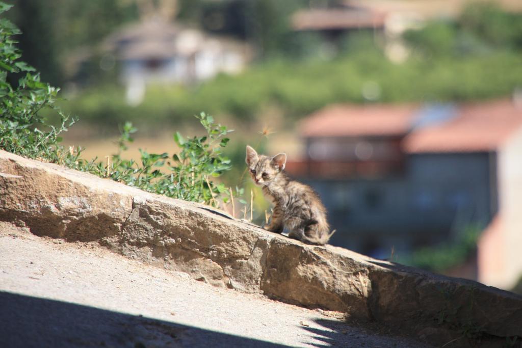 Foto de Àger (Lleida), España