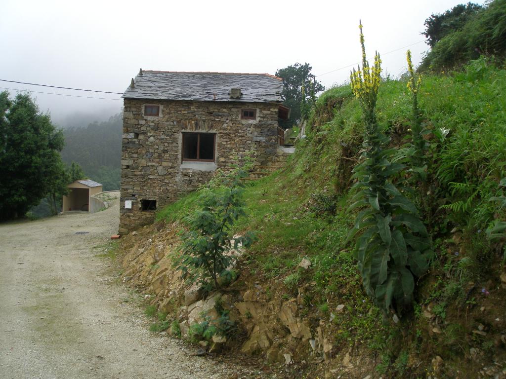 Foto de Tapia de Casariego (Asturias), España